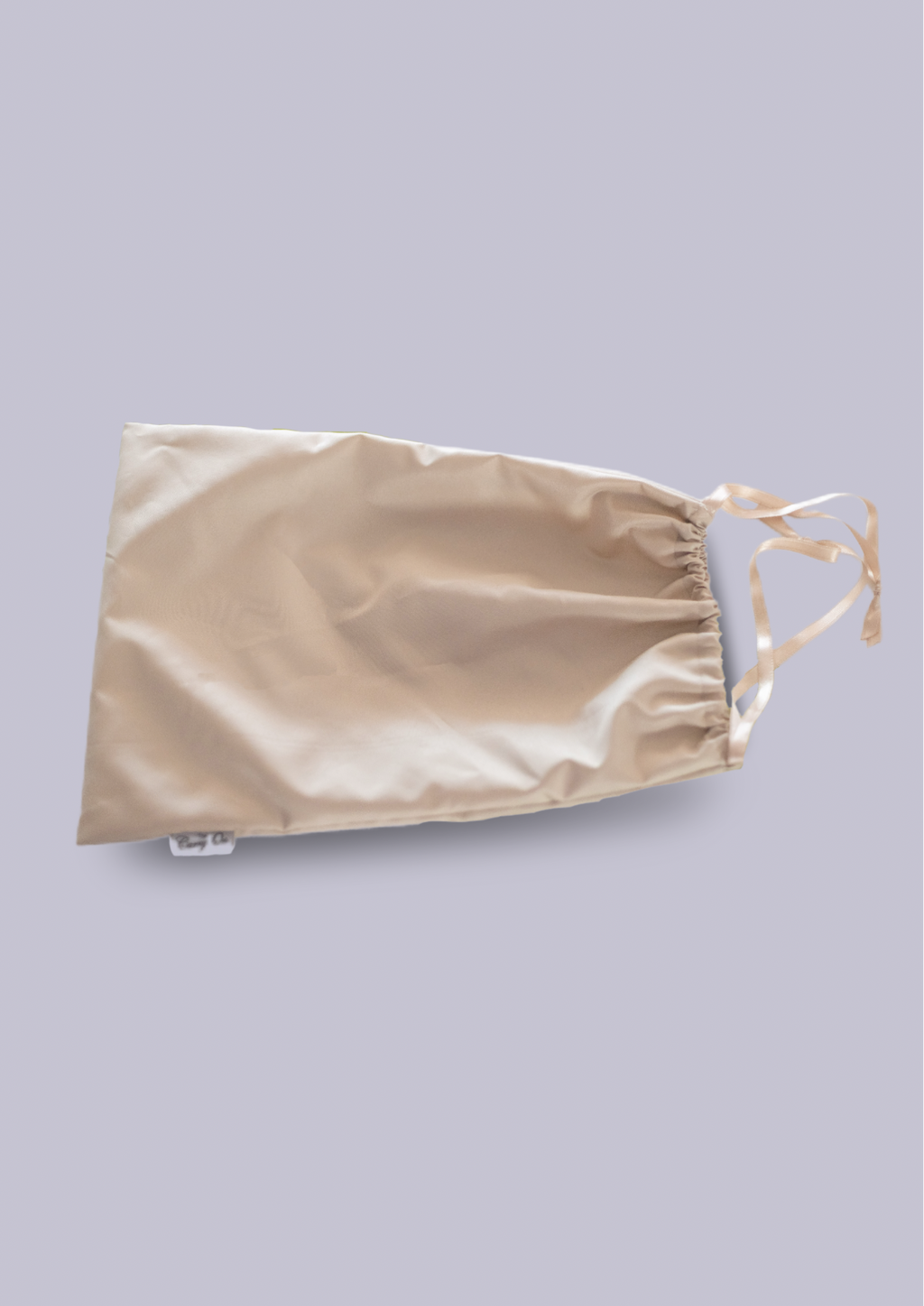 The Carry On Carry-All Bag